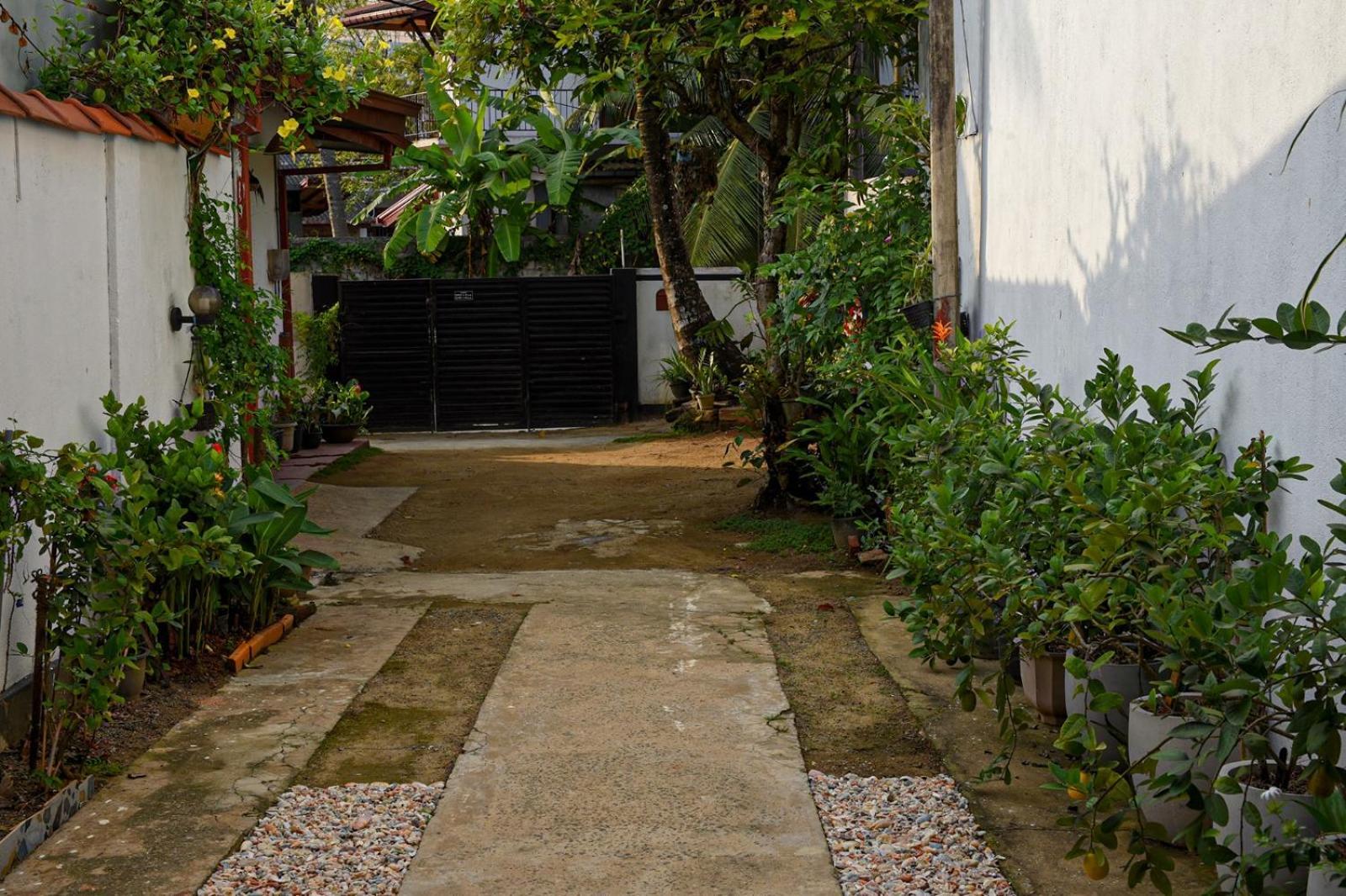 4Ty Two Homestay Galle Ngoại thất bức ảnh
