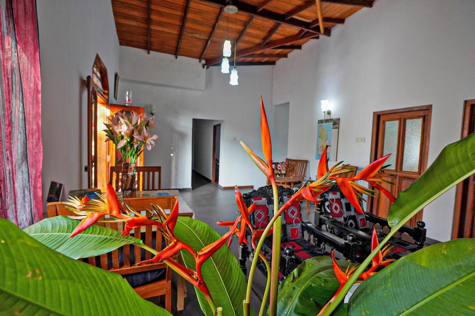 4Ty Two Homestay Galle Ngoại thất bức ảnh
